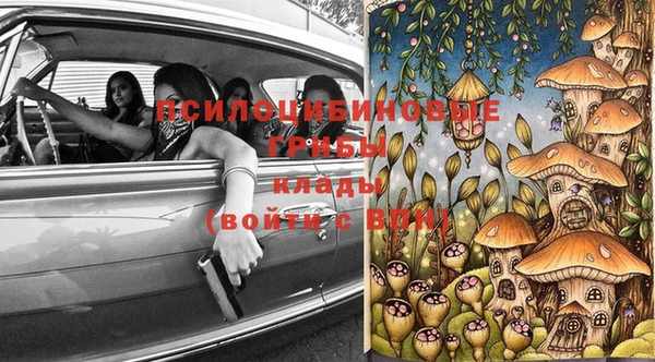 мяу мяу мука Нязепетровск