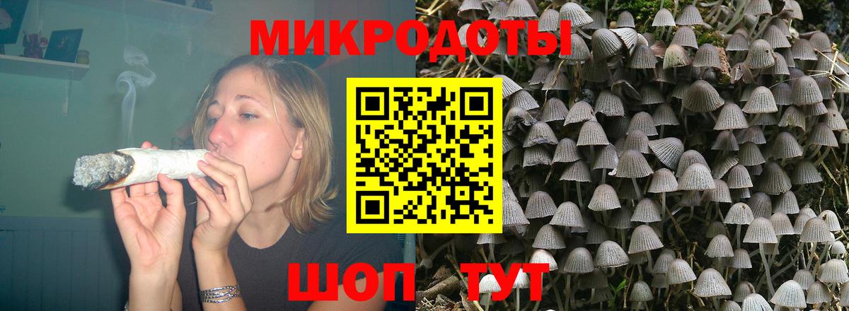 Псилоцибиновые грибы GOLDEN TEACHER  Вход с VPN  Кизляр  магазин продажи наркотиков  Галлюциногенные грибы Cubensis 