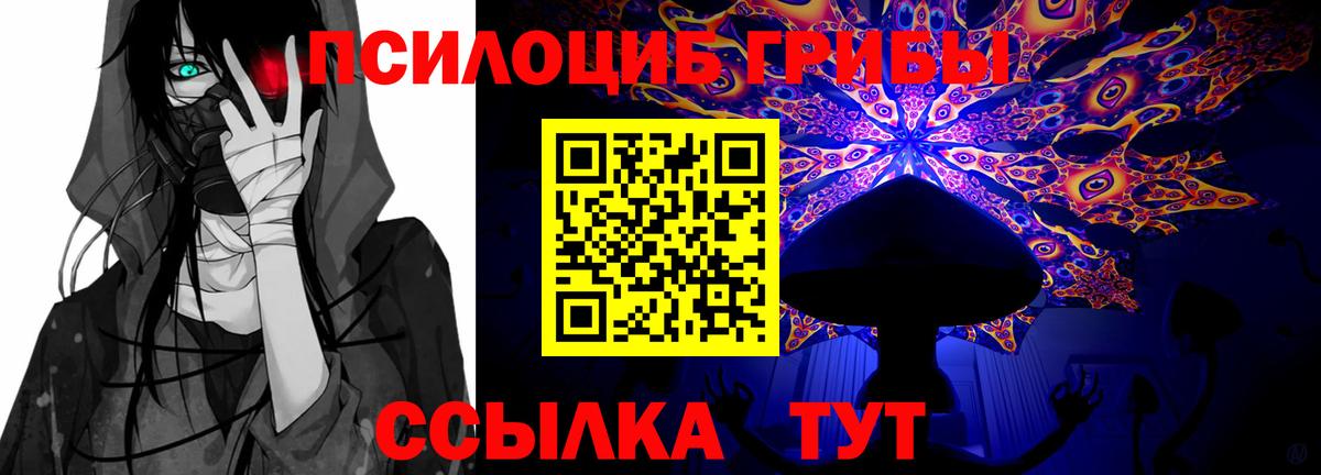 наркошоп  Кизляр  Галлюциногенные грибы мухоморы 